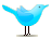 Follow Lynn on Twitter